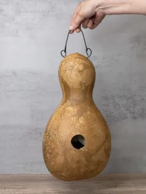 Raw Birdhouse Bungalo